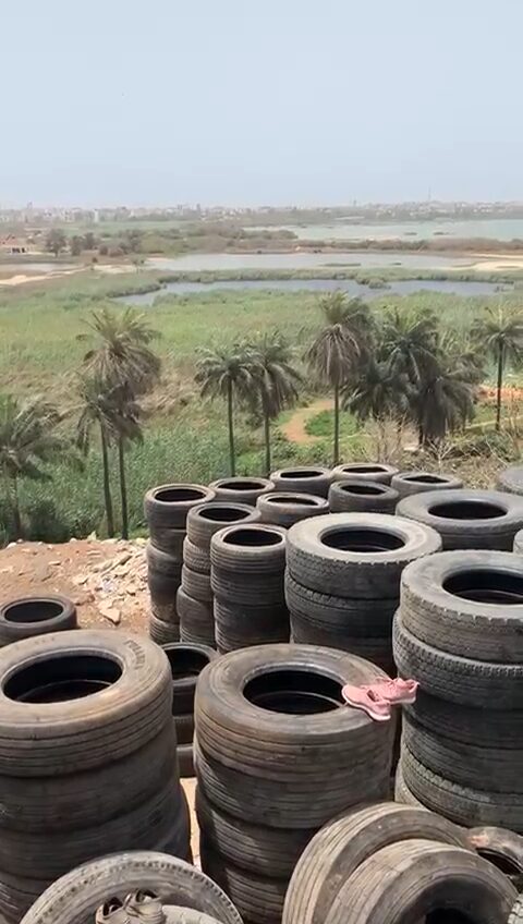 Le parc de Dakar vu depuis les piles de pneus